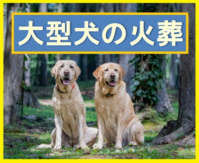 福井県ペット葬儀社 犬猫火葬場 大型犬の火葬