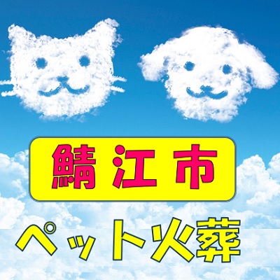 鯖江市のペット火葬 ペット葬儀社おおぞら