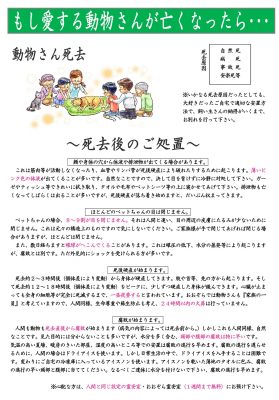 もし動物さんが亡くなったら･･･　死別