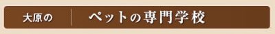 大原学園さんペットコースバナー