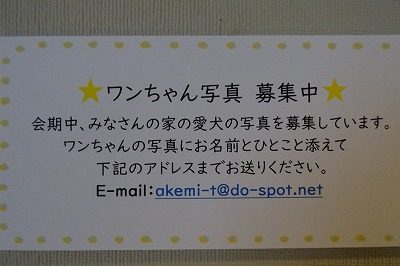 2019.3 作家と犬 福井市橘曙覧記念文学館13