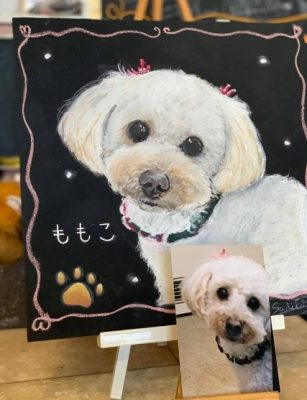 動物アート工房ａｎｉｍｏさん チョークアート ももこちゃん