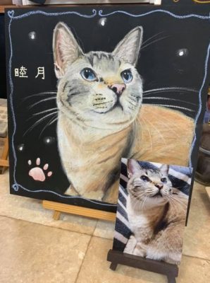 動物アート工房ａｎｉｍｏさん チョークアート 睦月ちゃん