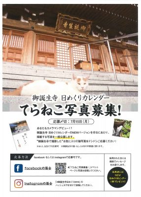 2019.7てらねこ写真募集