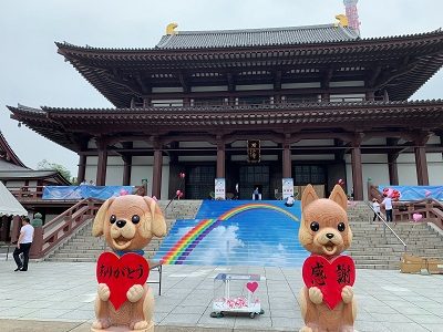 2019.7.21 動物慰霊祭大法要 代表画像