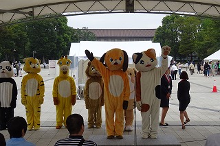 2019.9.14 中央行事フェスティバル5