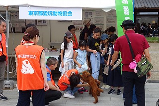 2019.9.14 中央行事フェスティバル東京都愛玩動物協会