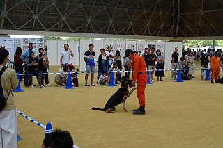 2019.9.22 しが動物フェスティバル25