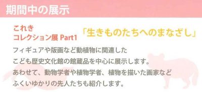 2020.1 こども歴史文化館生きものたちへのまなざし ﾁﾗｼ2