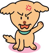 犬|福井県 ペット火葬 犬葬儀 お骨 供養 死 口コミ