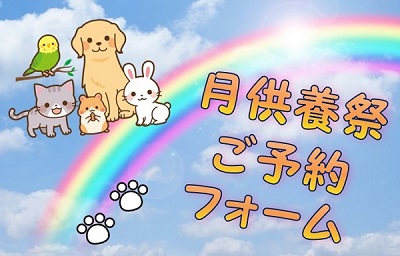 䌧 ybg  ԗ { \݃tH[
