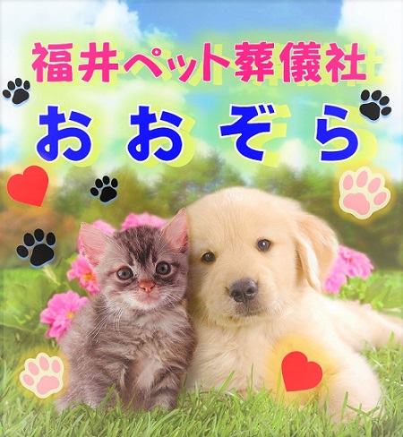犬猫画像|福井ペット葬儀社 おおぞら どうぶつセレモニーおおぞら