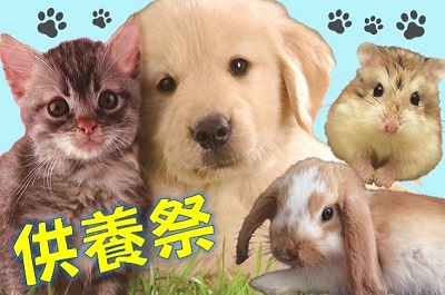 供養 法要 慰霊祭|福井ペット葬儀社 おおぞら どうぶつセレモニーおおぞら