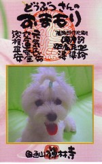 写真貼った後のお守り