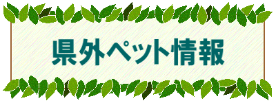 県外ペット情報