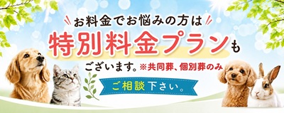 ���䌧�y�b�g���V�� ���ʗ����v����