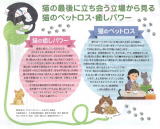 平成２７年２月１８日　福井宅配情報マガジンファミール 猫の日特集 掲載