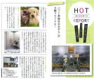 QSNQW z}KW@̃@~[ HOT REPORT f